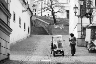 Nové trendy v brněnském vozíčkářství