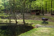 Verunka objevuje krásy obory Holedná (během focení nám za zády proběhlo stádo muflonů)