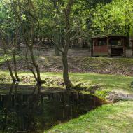 Verunka objevuje krásy obory Holedná (během focení nám za zády proběhlo stádo muflonů)