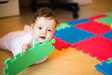 Boří a ničí jako správná krňačka