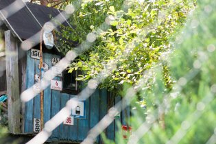 Šmírujeme přes plot v zahrádkářské kolonii