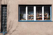 Krásy Králova pole