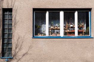 Krásy Králova pole