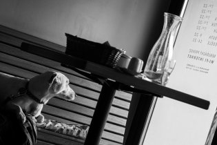 Jediný návštěvník Klafé, který by byl raději venku