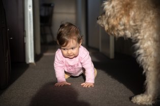 Verunka se snaží lézt tak, aby jí Kubíček neviděl :-)