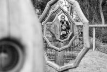 Stihli jsme poslední víkend, kdy byla Otevřená zahrada letos ještě otevřená