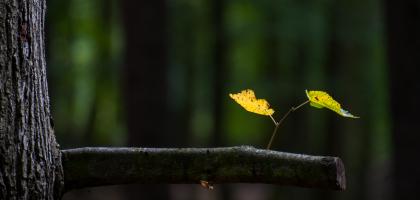 4. víkend v srpnu 2014