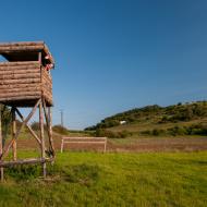 Pozorujeme větroně