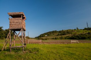 Pozorujeme větroně