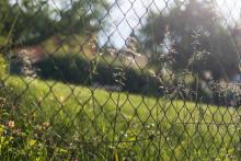 Večerní romantika v zahrádkářské kolonii