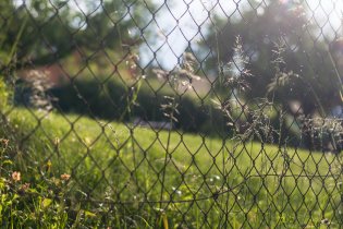 Večerní romantika v zahrádkářské kolonii