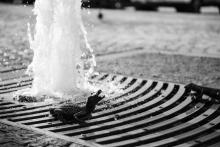 Už jste viděli nový Zelňák?