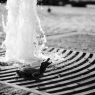 Už jste viděli nový Zelňák?