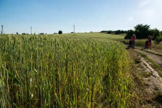 Objevujeme krásy kníničských polí