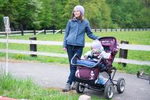 pozorujeme koně v jezdeckém klubu Eliot