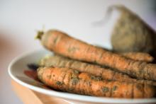 čím víc hlíny, tím víc bio!