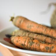 čím víc hlíny, tím víc bio!