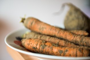 čím víc hlíny, tím víc bio!