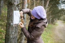 Nanašel náhodou někdo brýle? (Bůh si nakonec použil modernější komunikační kanál, brýle se našly díky FB skupince "Brněnské maminky z Bystrce")
