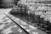 Před Moravskou galerií vyrostla Krajina suburbie