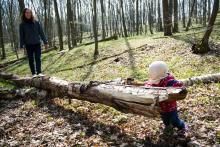 Verunko, drž tu kládu pořádně, ať se nepřeváží!