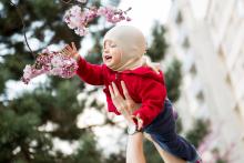 Verunka by byla dobrá včelička, zde trénuje opylování čerstvě rozkvetlé sakury