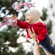 Verunka by byla dobrá včelička, zde trénuje opylování čerstvě rozkvetlé sakury