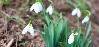 2. víkend v únoru 2015