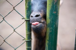 Dala bych si něco menšího