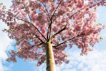 Sídlištní romantika