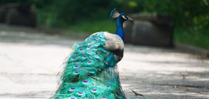 3. víkend v květnu 2015