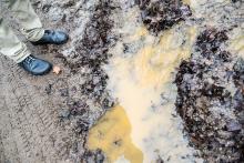 Tom jde testovat své nové barefoot-vegan-etické boty