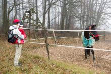 Bude tam kůň! A jakej? Zelenej! ... a taky že jo :-)