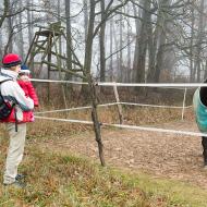 Bude tam kůň! A jakej? Zelenej! ... a taky že jo :-)