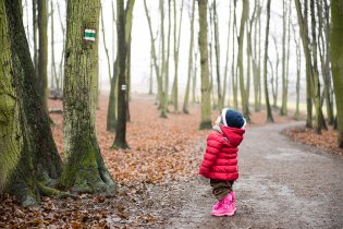 A jejda, neříkali náhodou, že mám jít po žlutý?