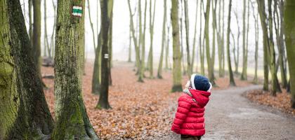 3. víkend v prosinci 2015