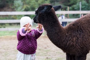 Zůstaň v klidu, nenech se vyvést z míry