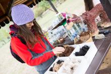 Drahocenná Baby Alpaka - jako kdyby byla vypraná v Perwollu!
