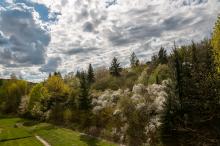 Řekněte, komu z vás by u takového výhledu z okna nechutnalo?