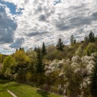 Řekněte, komu z vás by u takového výhledu z okna nechutnalo?