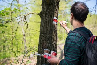 Díky tomuto pánovi letos kolem přehrady určitě nezabloudíte