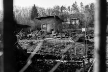 Objekt  střežen PSY