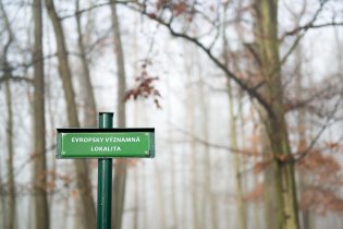 Možná právě proto je to Evropsky významná lokalita