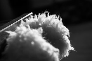 Trocha abstrakce takhle po ránu