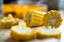 Občas se stane, že omylem vyfotíme i něco jiného než Verunku...