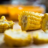 Občas se stane, že omylem vyfotíme i něco jiného než Verunku...