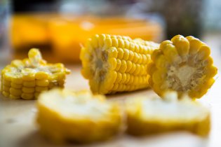 Občas se stane, že omylem vyfotíme i něco jiného než Verunku...