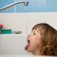 Vodu máme v Brně dobrou, to se musí nechat