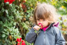 Růže, ty Verunka může!