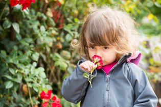 Růže, ty Verunka může!